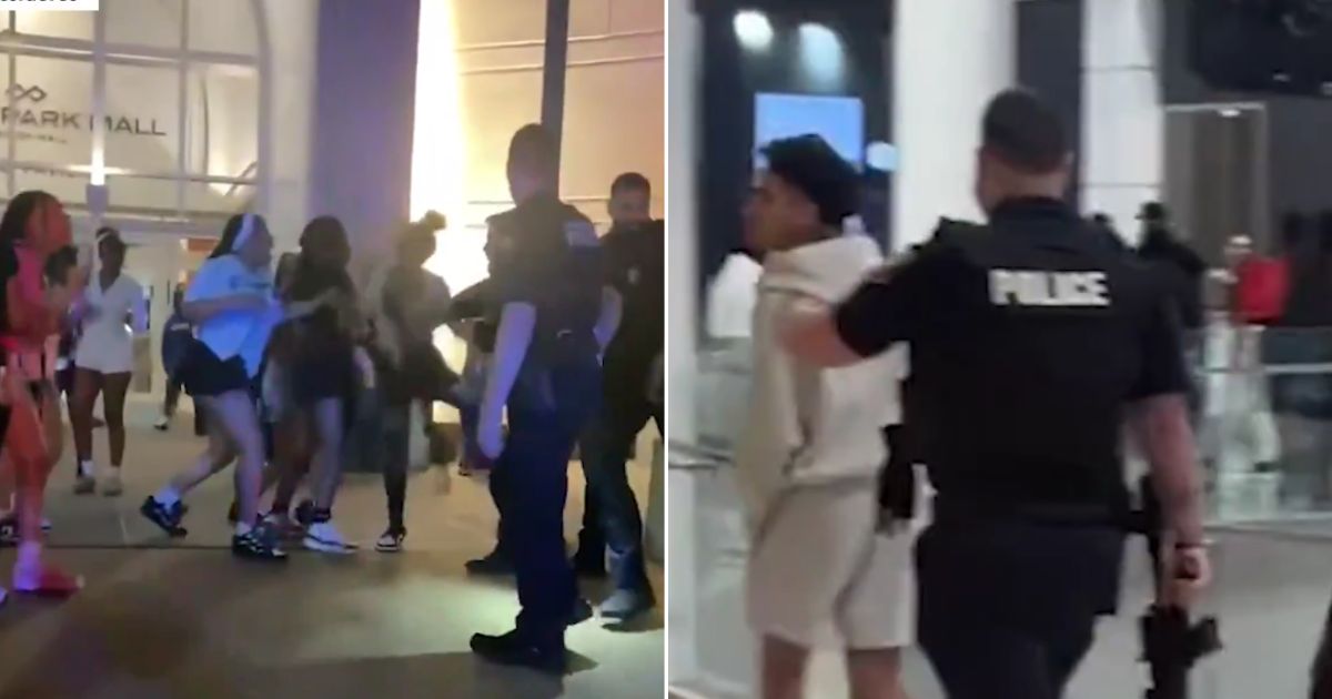 More than 300 young people flocked to New Jersey's Menlo Park Mall after a meet-up call went out on social media platform TikTok.