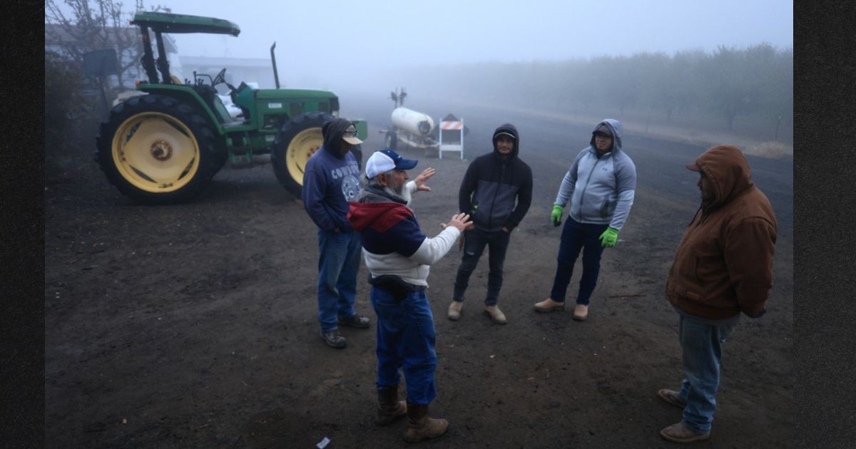 A French media company interviewed a California farmer who predicted disaster if President-elect Donald Trump deports undocumented agricultural laborers.