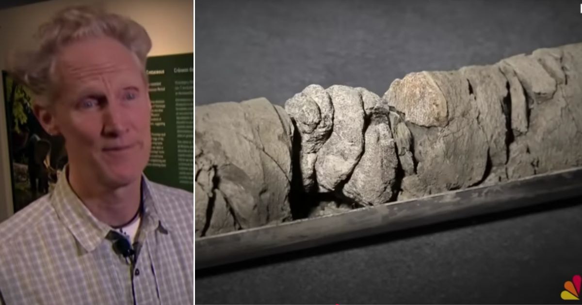 "Finding a dinosaur bone in a core is like hitting a hole in one from the moon," geology curator James Hagadorn said."It’s like winning the Willy Wonka factory."