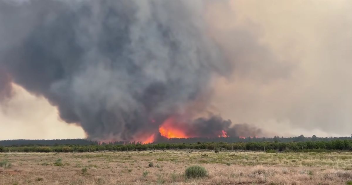 A fire vortex, or "firenado," erupted last week during a blaze in rural Utah.