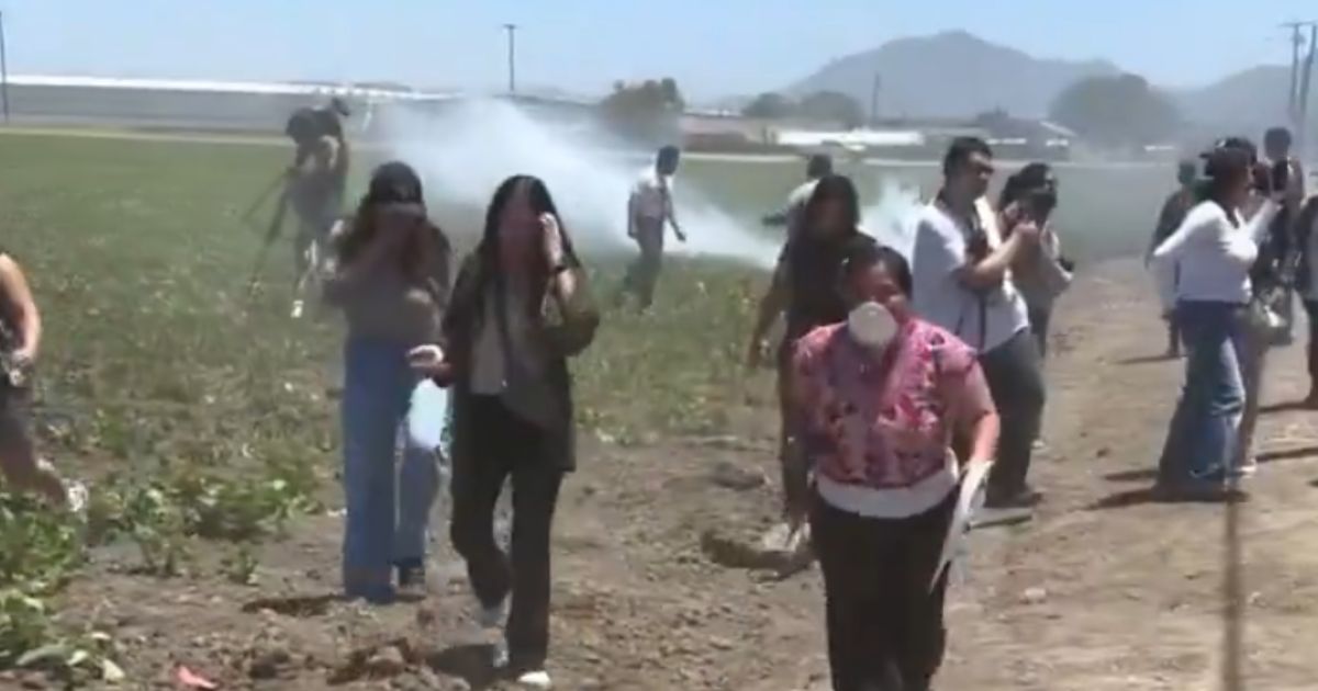 This X screen shot shows protesters fleeing a marijuana farm in California.